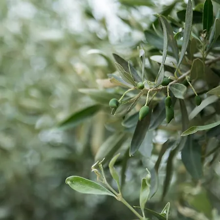 Appartamento Niriides Kyparissia