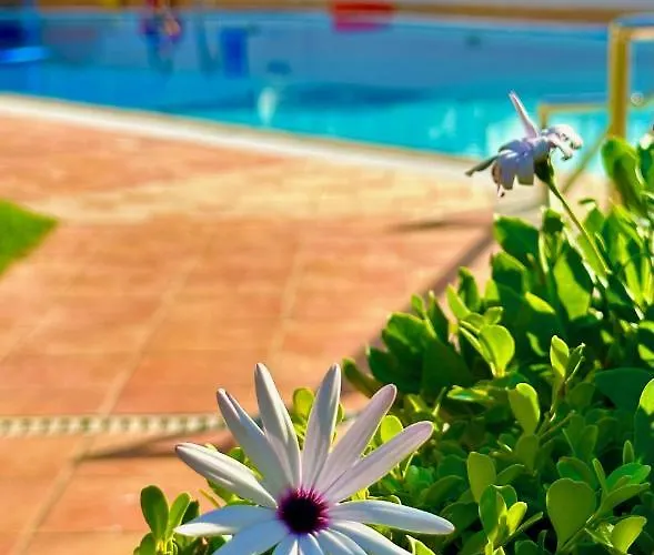 尼瑞埃蒂斯公寓 *