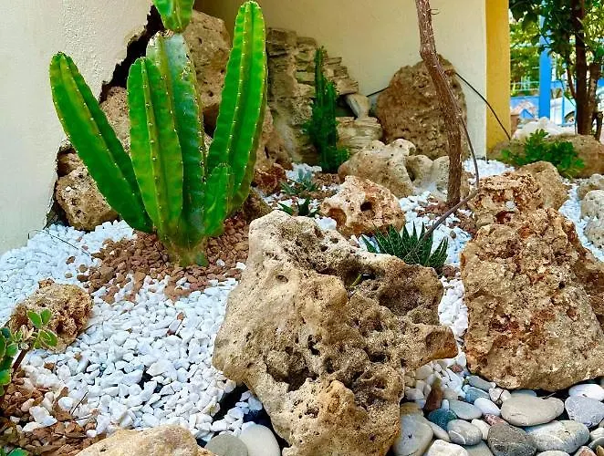 尼瑞埃蒂斯公寓 公寓 基帕里夏