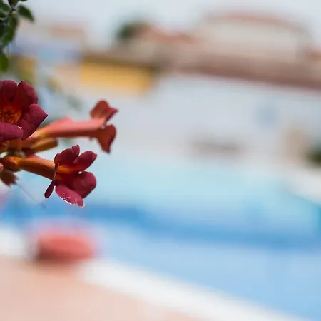 Niriides Apartamento