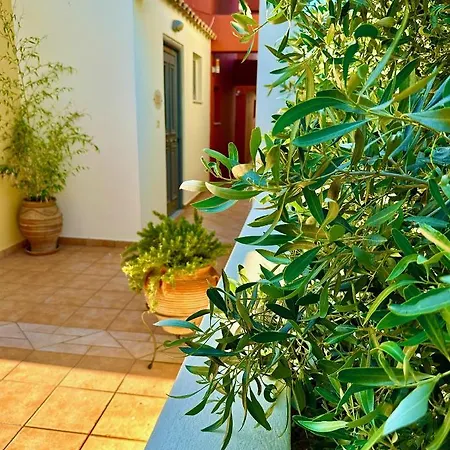 Apartment Niriides Kyparissia